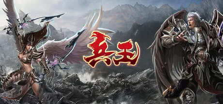 兵王 cover art