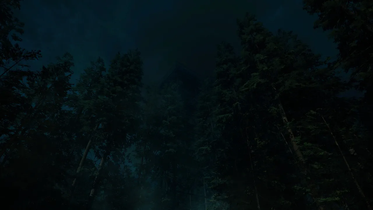 Forest Lookout screenshot 1
