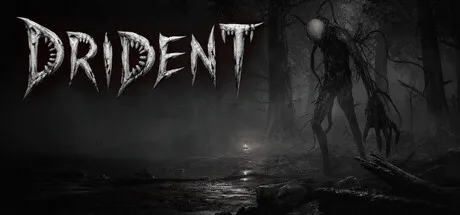 Drident cover art