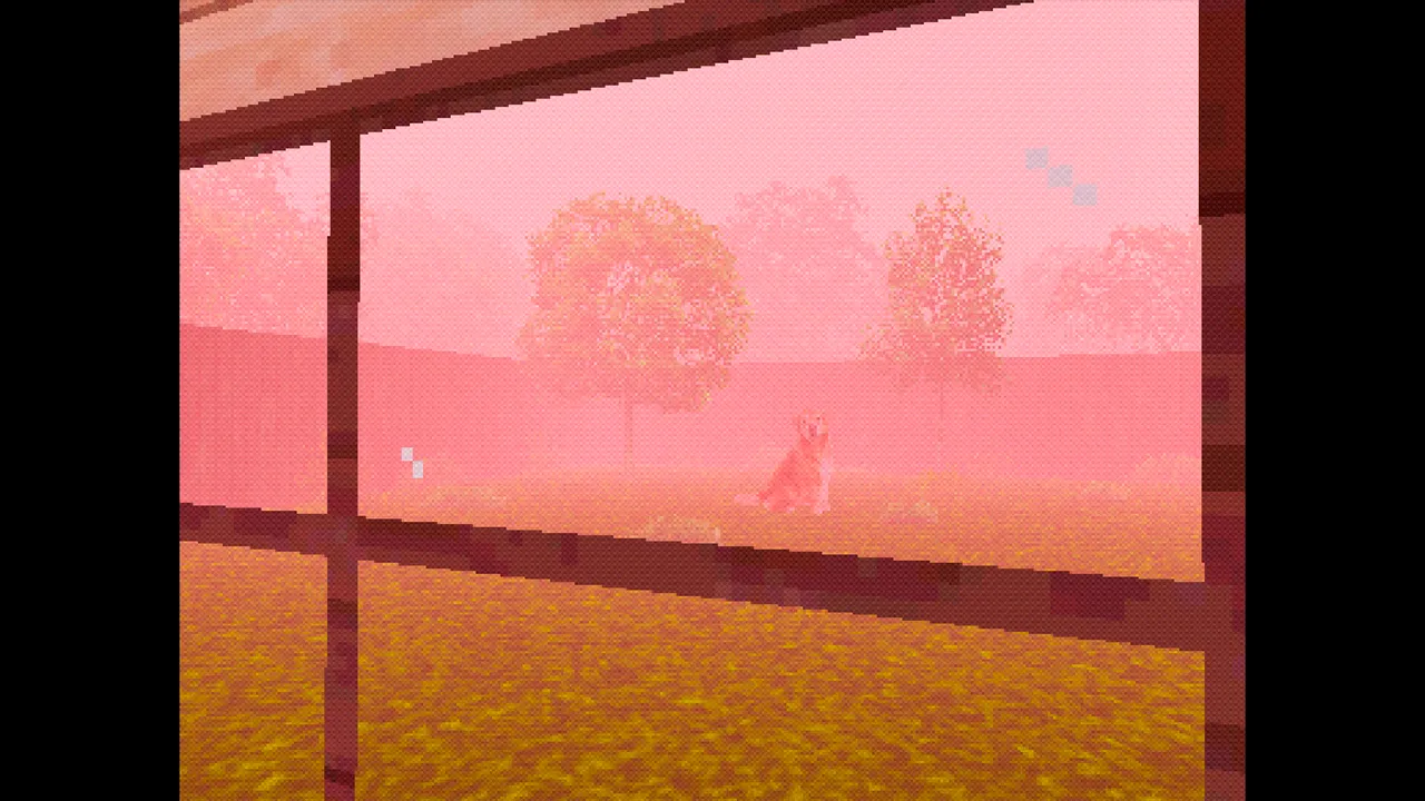 TAKE CARE OF THE DOG screenshot 5