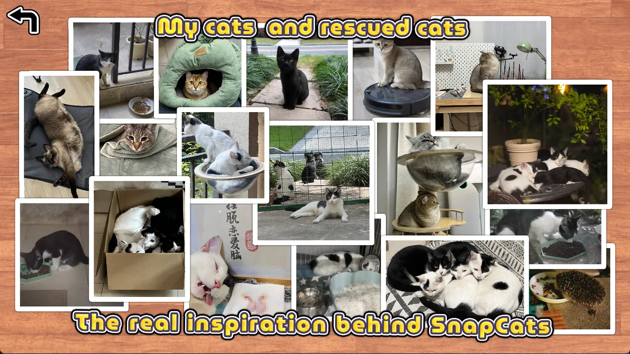SnapCats screenshot 3
